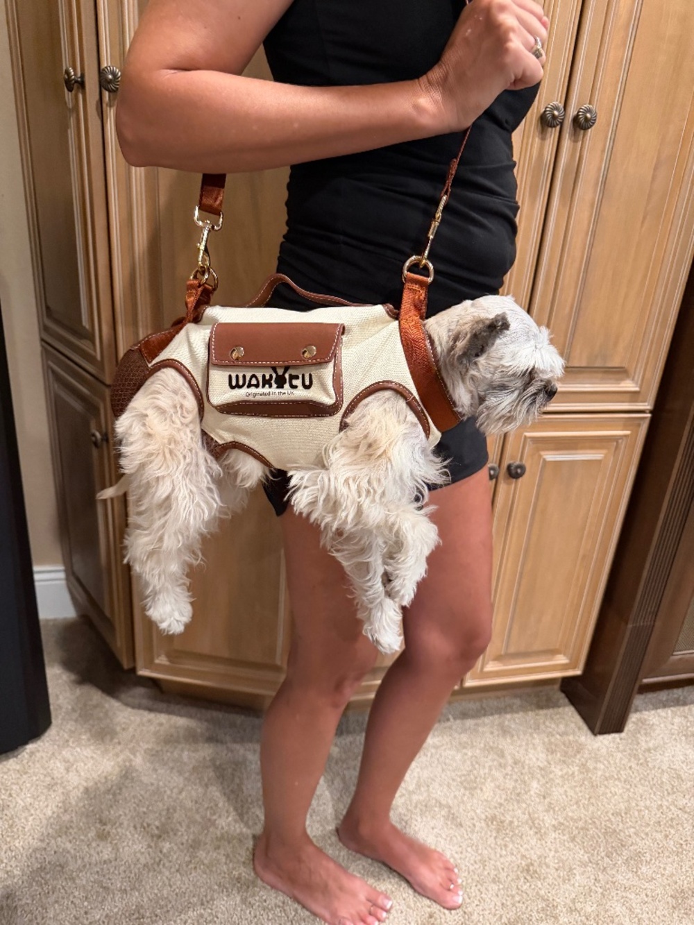 Dog Purse Carrier (Pet not included)